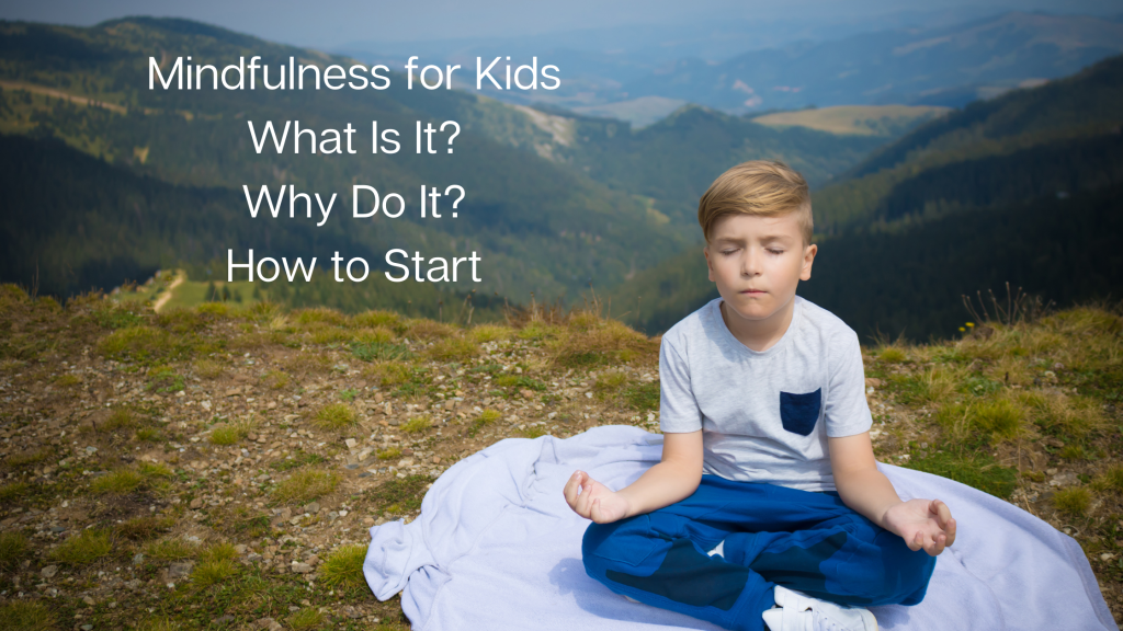 Read more about the article Mindfulness for Kids: What is It? Why Do It? How to Start